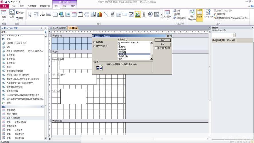 Access官方使用指南：如何充分利用Microsoft Access