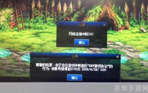 DNFWPE封包：游戏安全与外挂的较量