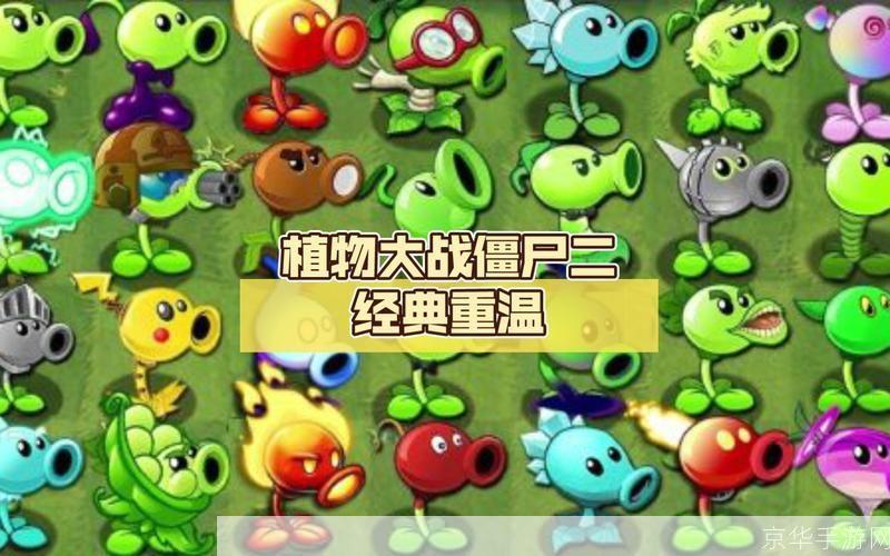 植物大战僵尸2电脑:植物大战僵尸2电脑版：重温经典，挑战升级