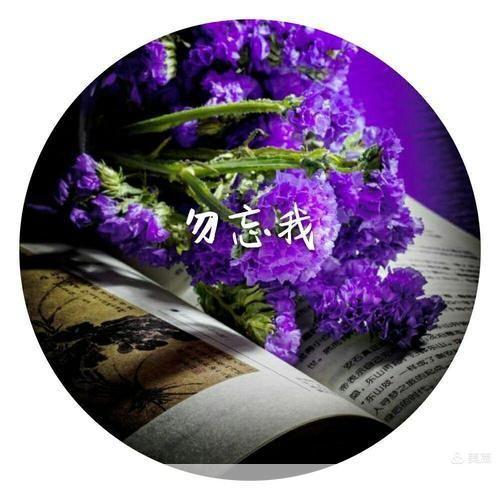 勿忘我存档：时光之沙的旋律