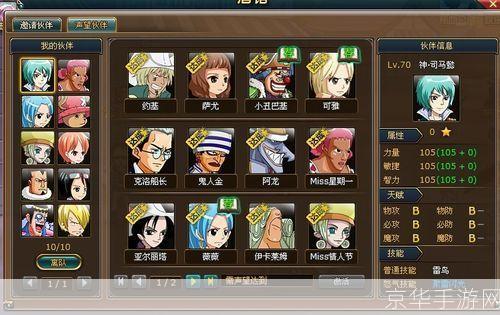 热血海贼王：最强伙伴搭配全解析