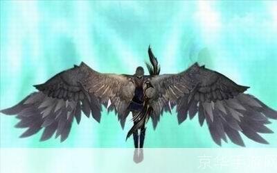 魔兽世界美味鸟翅膀:魔兽世界中的美味佳肴：探索鸟翅膀的烹饪之旅