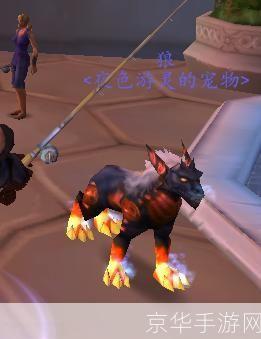 魔兽世界猎人宠物:魔兽世界：猎人宠物的选择与培养指南