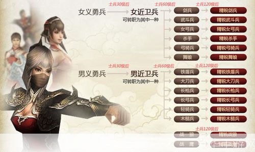三国群英传8兵种全解析