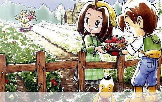 牧场物语双子村料理:牧场物语双子村料理：农耕与烹饪的乡村生活体验
