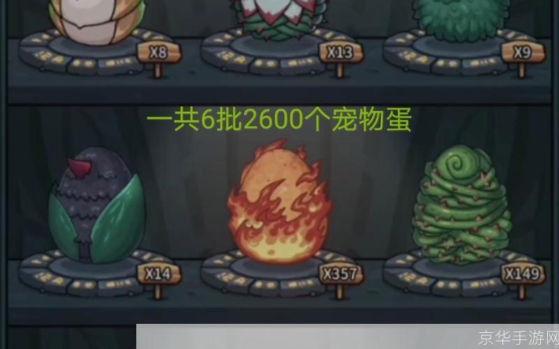 DNF宠物蛋：孵化战斗伙伴，开启冒险新篇章
