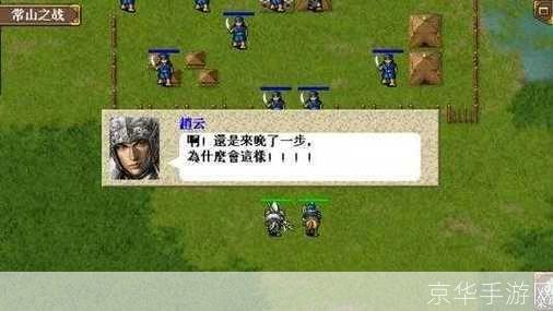 三国志新传:三国志新传：重塑辉煌的历史征程