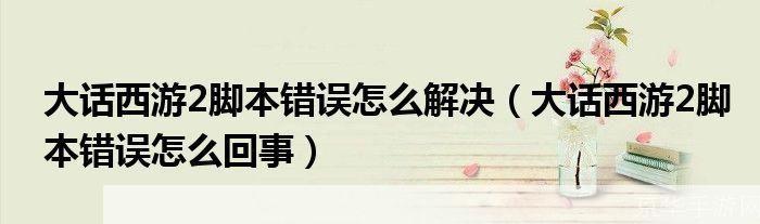 大话2脚本错误深度解析：探寻问题根源与解决方案