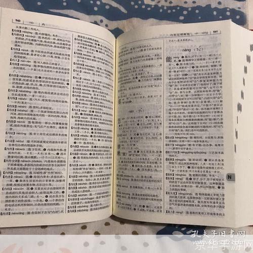 汉语词典怎么用: 汉语词典的使用方法与技巧