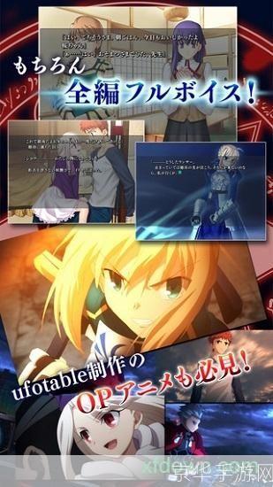 fate stay night游戏怎么用: Fate Stay Night游戏操作指南