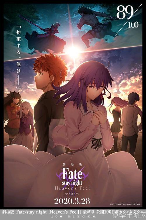 fate stay night游戏怎么用: Fate Stay Night游戏操作指南