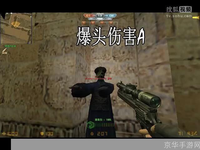 csol眼镜王蛇:CSOL眼镜王蛇游戏中的独特魅力与战术运用