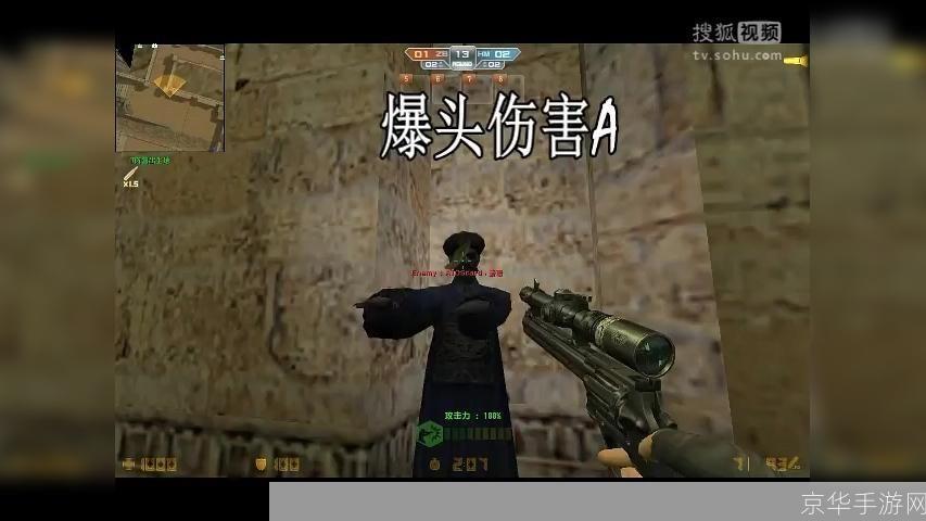 csol眼镜王蛇:CSOL眼镜王蛇游戏中的独特魅力与战术运用