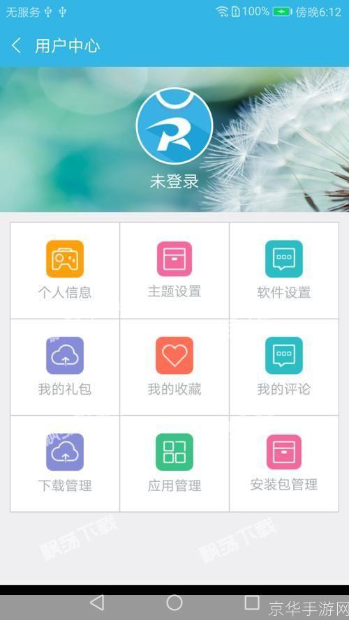 软天空app怎么安装: 详细步骤教你如何安装软天空app