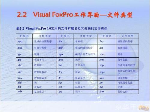 VFP6.0官方使用指南