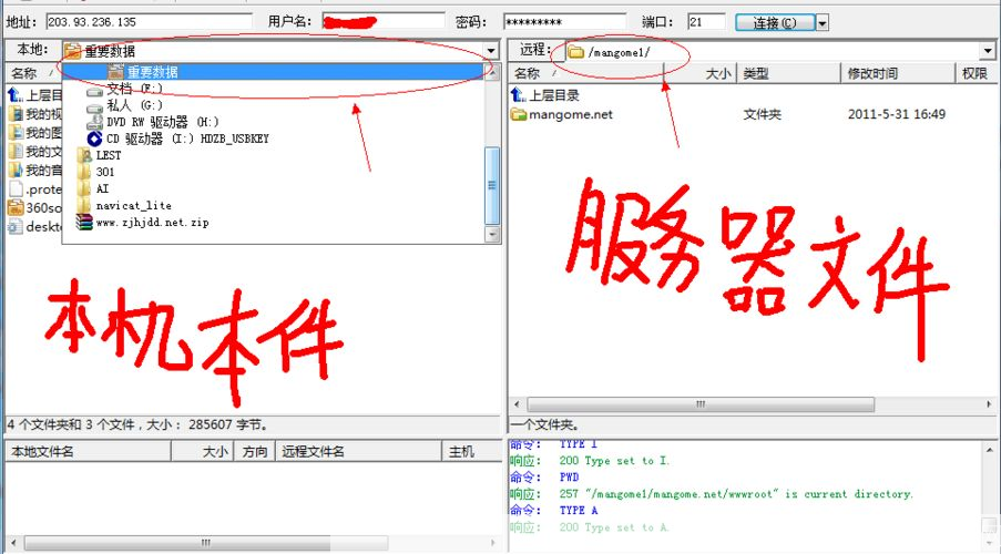 FTP上传软件的全面指南