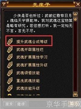 天龙八部武魂怎么合成:天龙八部武魂合成全攻略