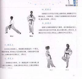 跆拳道教学视频的使用方法与技巧