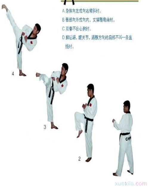 跆拳道教学视频的使用方法与技巧