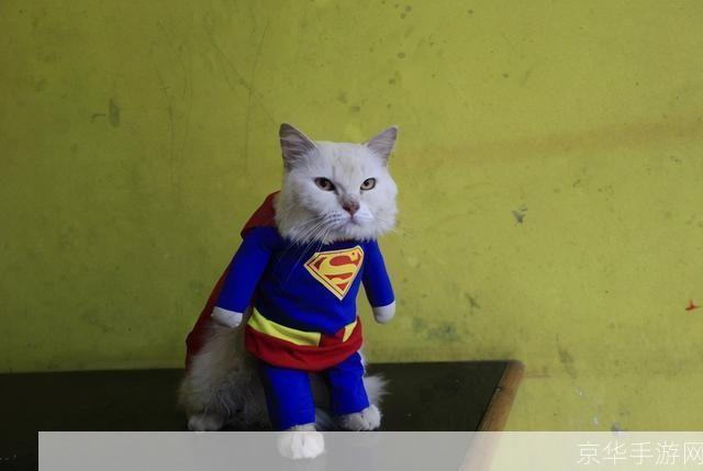 小懒猫特效视频让你的猫咪瞬间变身超级英雄！