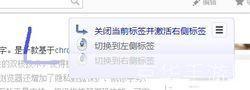枫树极速浏览器：提升网络浏览体验的优质工具