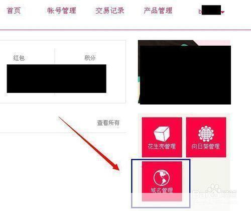 花生壳怎么安装: 花生壳动态域名解析服务安装与使用指南