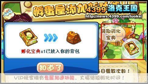 洛克王国宠物蛋探秘：孵化、收集与战斗指南