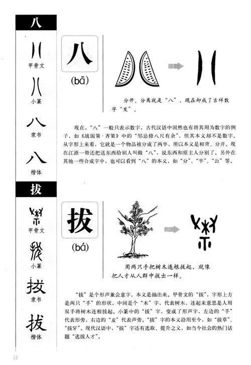 探索与实践：说文解字的运用方法