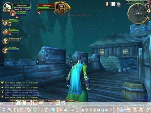 wow信号:揭秘魔兽世界中的哇信号：一段游戏内外的神秘传奇