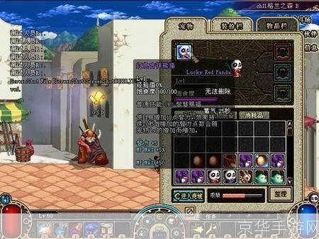 DNF熊猫宠物大揭秘：战斗伙伴的魅力与养成之道