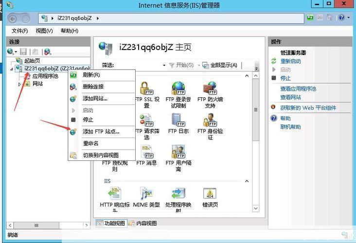 如何在Windows Server 2003上配置和使用IIS6