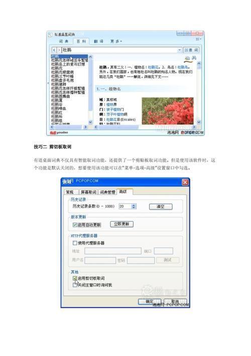 桌面词典的使用方法详解