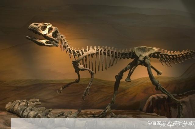 侏罗纪化石 克格莫：探索史前奥秘，重现恐龙时代