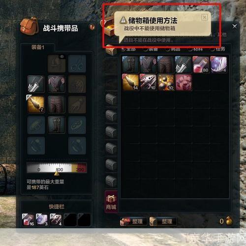 洛奇英雄传储物箱探秘：管理、扩充与战略