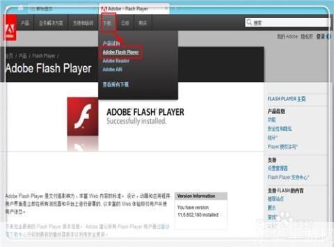 Adobe Flash Player官方使用指南