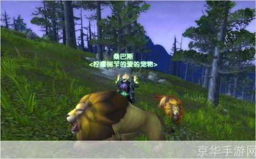 魔兽世界：猎人稀有宝宝全解析**