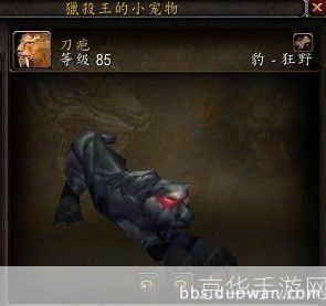 魔兽世界：猎人稀有宝宝全解析**