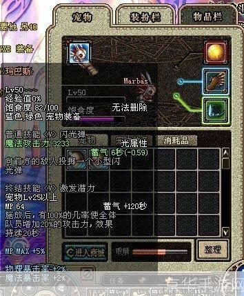 dnf宠物玛巴斯:DNF宠物玛巴斯：战斗伙伴的崛起与深度解析