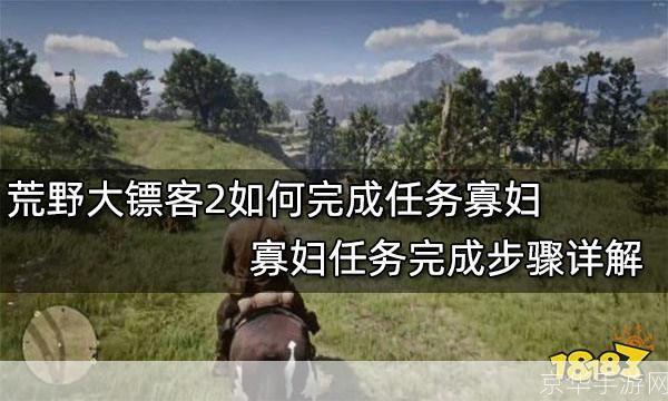 荒野大镖客2寡妇任务深度解析