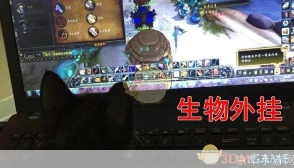 <魔兽世界挂机秘籍：轻松游戏，永不掉线>
