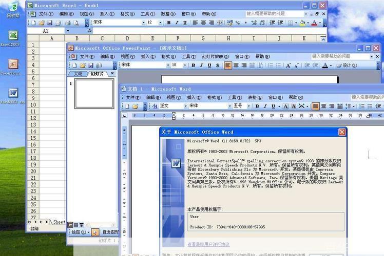 深入理解并掌握Office 2003办公软件