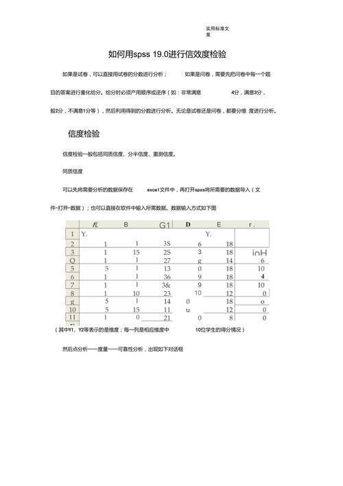 spss19.0中文版怎么用: SPSS 19.0中文版的使用方法详解