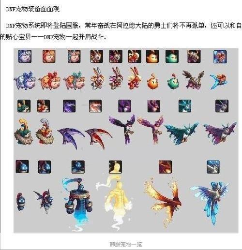 dnf宠物怎么升级:DNF宠物升级攻略：打造强力战斗伙伴