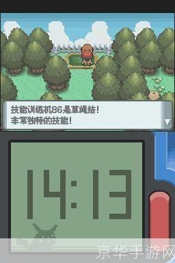 口袋妖怪钻石版攻略:钻石之旅：口袋妖怪钻石版全攻略