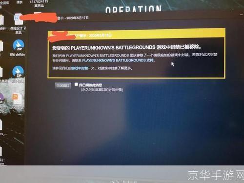 绝地求生黑号:绝地求生黑号揭秘：游戏背后的风险与防范