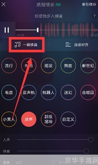 详细步骤教你如何在安卓手机上安装唱吧应用