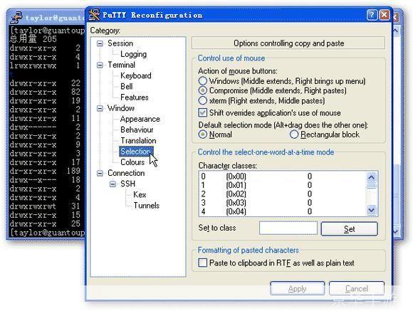 putty 怎么安装: 如何在Windows系统中安装和使用Putty