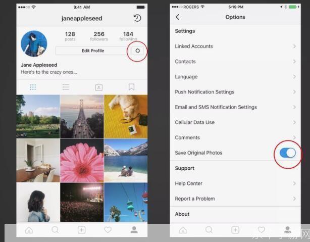 instagram怎么用: Instagram使用指南：如何充分利用这个图片分享平台