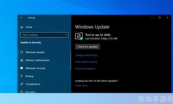 msdn win10怎么安装: 详细步骤指南：如何安装MSDN Windows 10