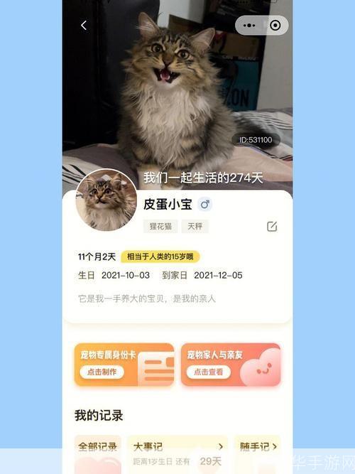 猫咪软件app的安装步骤详解